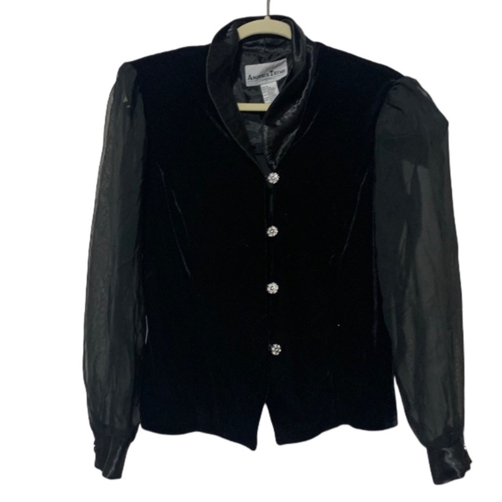 Vintage Another Thyme Velvet Sheer Long Sleeve Button Down Shirt